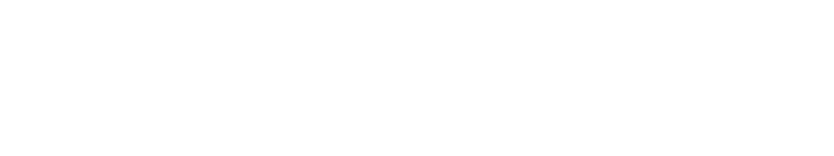 P.I.C.S.