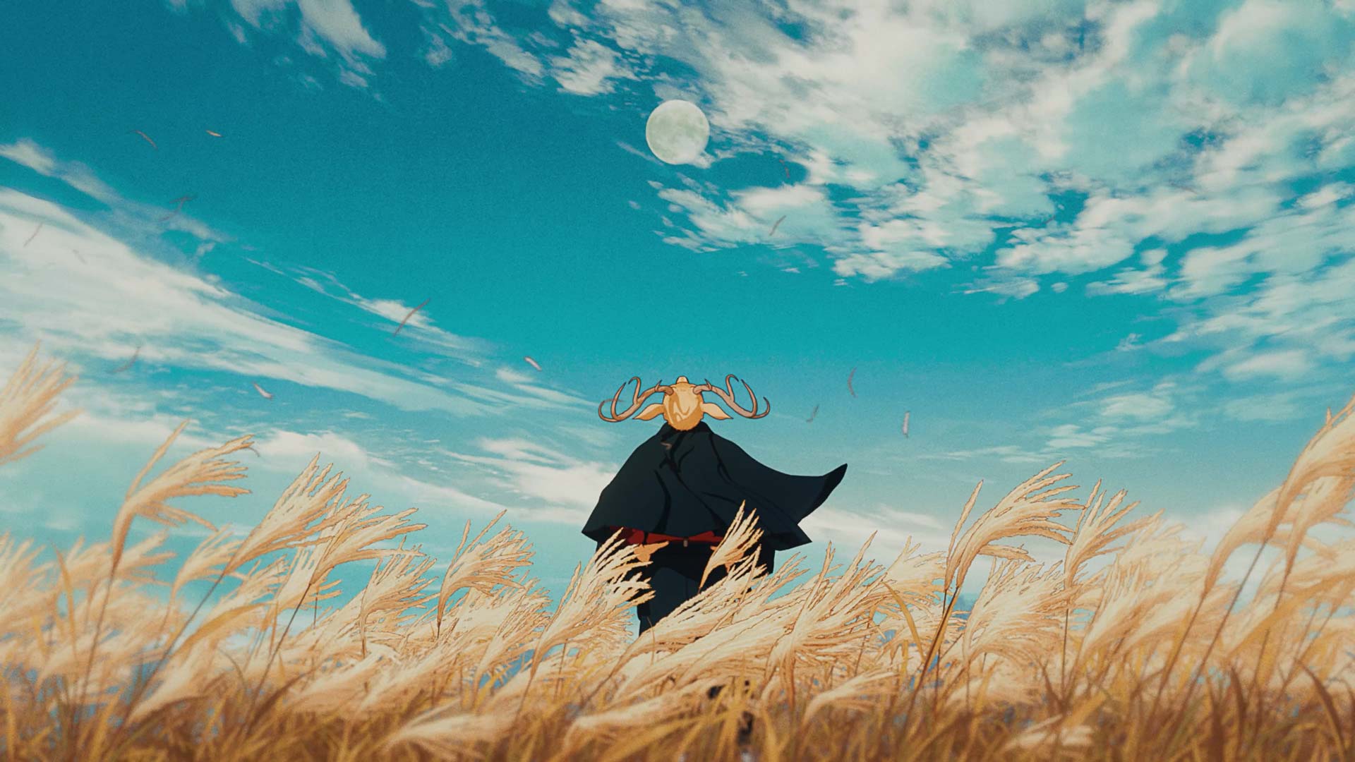 Music Video Direction